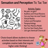 Sensation and Perception (Psychology) - Choice Board Hyperdoc