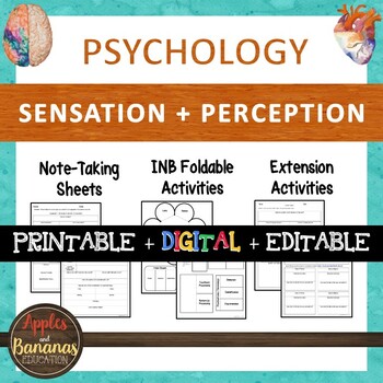 Preview of Sensation and Perception - Psychology Interactive Note-taking Activities