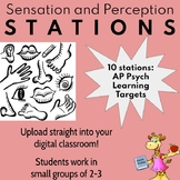 Sensation and Perception Stations (AP Psychology)