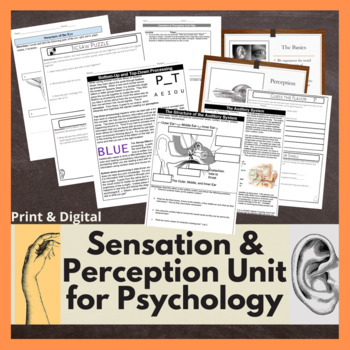 Preview of Sensation & Perception Unit - PPT, Readings, Activities, Test- Multiple Formats