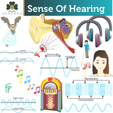 Sense Of Hearing Clip Art