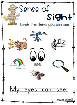 Sense Of Sight -Worksheet by TeacherHope | Teachers Pay Teachers