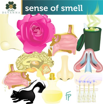 sense of smell clipart