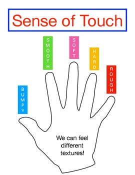 sense of touch five senses by little learners preschool