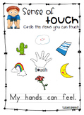 sense of touch worksheet teachers pay teachers