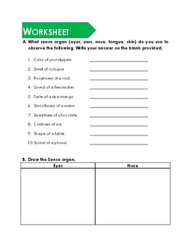 sense organs worksheets and scavenger hunt by the guiding scholar