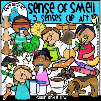 Sense of Smell 5 Senses Clip Art Set by Chirp Graphics | TPT