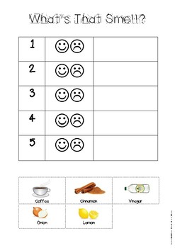 Preview of Sense of Smell Activity