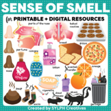 Sense of Smell Moveable ClipArt for Science Activities