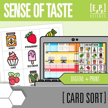 Preview of Sense of Taste Card Sort Activity | Digital + Print Science Card Sorts