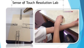Preview of Sense of Touch Resolution Lab