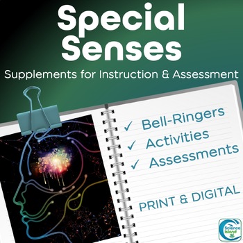 Preview of Senses Activities, Bell-Ringers, and Assessments - Nervous System Supplements