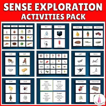 Preview of Senses Activities Montessori Bundle