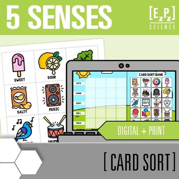 Preview of Senses Card Sort Activity | Digital + Print Science Card Sorts