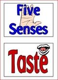 Senses Cards