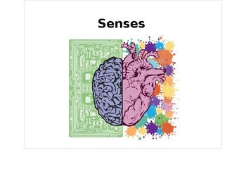 Preview of Senses Interactive Book