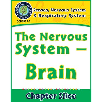 Preview of Senses, Nervous & Respiratory Systems: The Nervous System - Brain Gr. 5-8