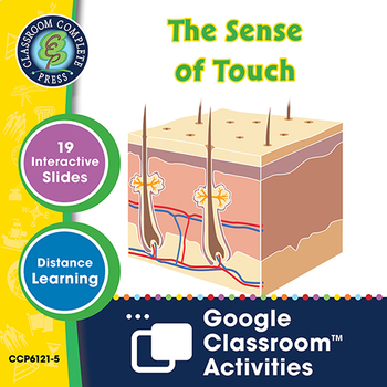 Preview of Senses, Nervous & Respiratory Systems: The Sense of Touch Google Slides Gr. 5-8