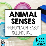 Animal Senses Science Unit | 4th Grade NGSS Structures and