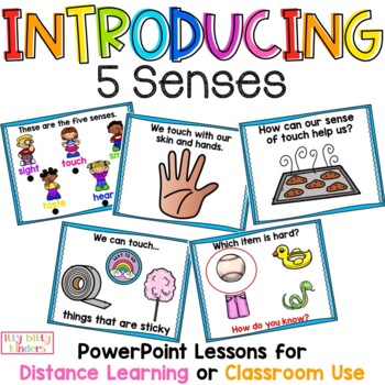 Preview of Senses PowerPoint Lessons, Sight, Touch, Smell, Taste, Hear, Distance Learning