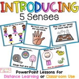 Senses PowerPoint Lessons, Sight, Touch, Smell, Taste, Hea