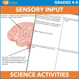 Senses - Receiving, Processing, and Responding NGSS 4-LS1-2