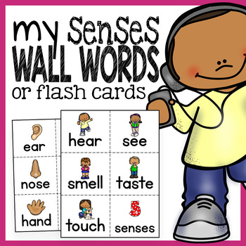 Preview of Senses and Body Parts Word Wall Flash Cards