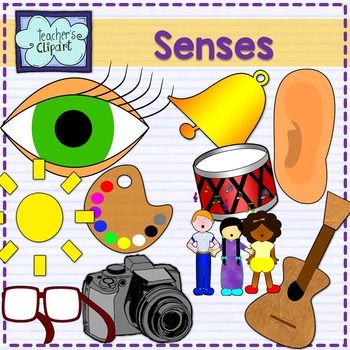 Preview of Five Senses clipart - Sight, taste, touch, smell, hear {Science clip art}