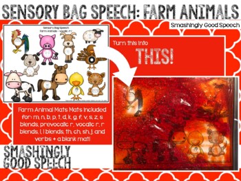 Preview of Sensory Bag Speech: Farm Animals