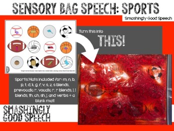 Preview of Sensory Bag Speech: Sports