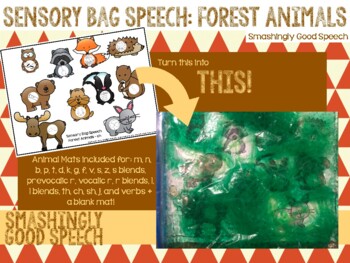 Preview of Sensory Bag Speech: Woodland Animals