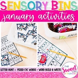 Sensory Bin Activities | January