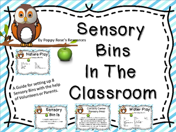 Preview of Sensory Bins In The Classroom