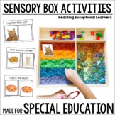 Sensory Box Activities for Special Education