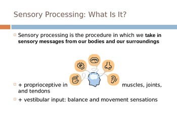 Preview of Sensory Challenges and Supports for Students with Autism