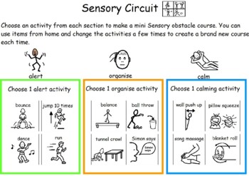 Preview of Sensory Circuits