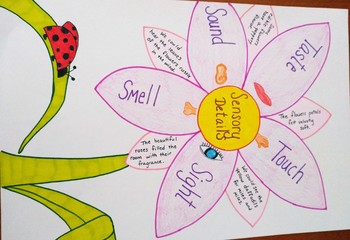 Preview of Sensory Details Anchor Chart - Hand Drawn