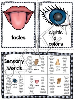 sensory details descriptive writing activity esl recommended tpt