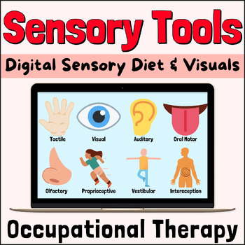 Preview of Sensory Diet Tools & Visuals: For Special Education & Occupational Therapy