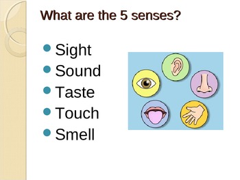 Preview of Sensory Language - Imagery