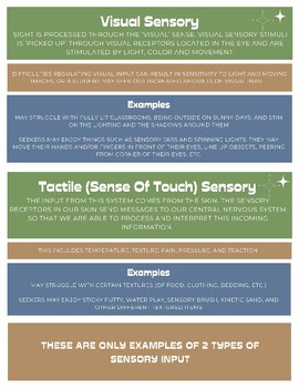 Sensory/Motor Lab Handout by SunshinySped | TPT