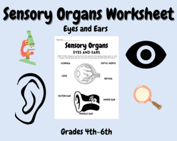 Preview of Sensory Organs-Eyes and Ears