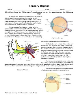 Preview of Sensory Organs: Informational Text, Images, and Assessment