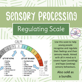 Sensory Processing – Scale of regulation