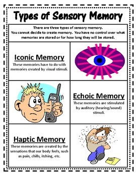 Sensory Receptors and Memories: Next Generation Science MS-LS1-8