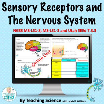 Preview of Sensory Receptors and The Nervous System Online Unit