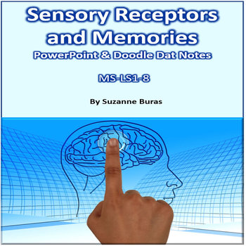 Preview of Sensory Receptors, the Brain, and Memories:  PowerPoint and Doodle Dat Notes