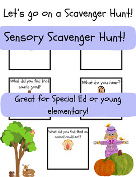 Preview of Sensory Scavenger Hunt