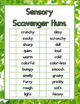Preview of Sensory Scavenger Hunt - Nature