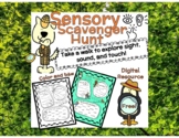 Sensory Scavenger Hunt - Turn a walk into a multisensory l